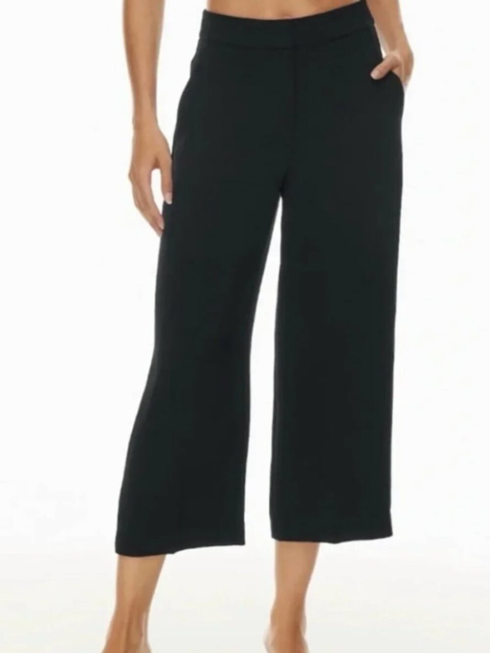 Wilfred Limitlless cropped Pants from Aritzia
